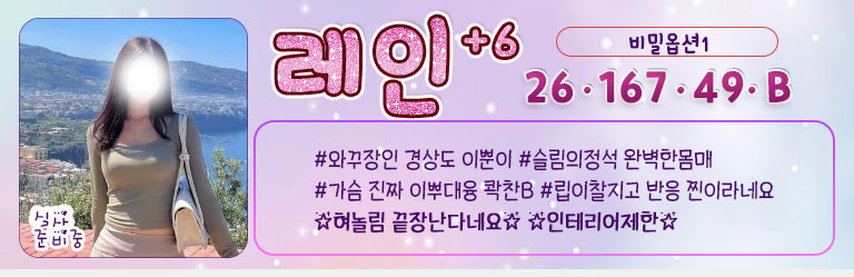 레인미니.jpg
