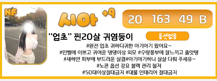 시아미니N.jpg